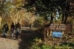 Walkers on Elkin River Rail 